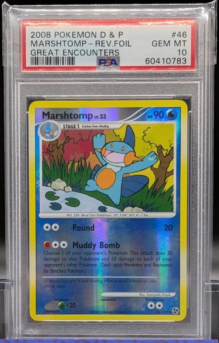 Marshtomp