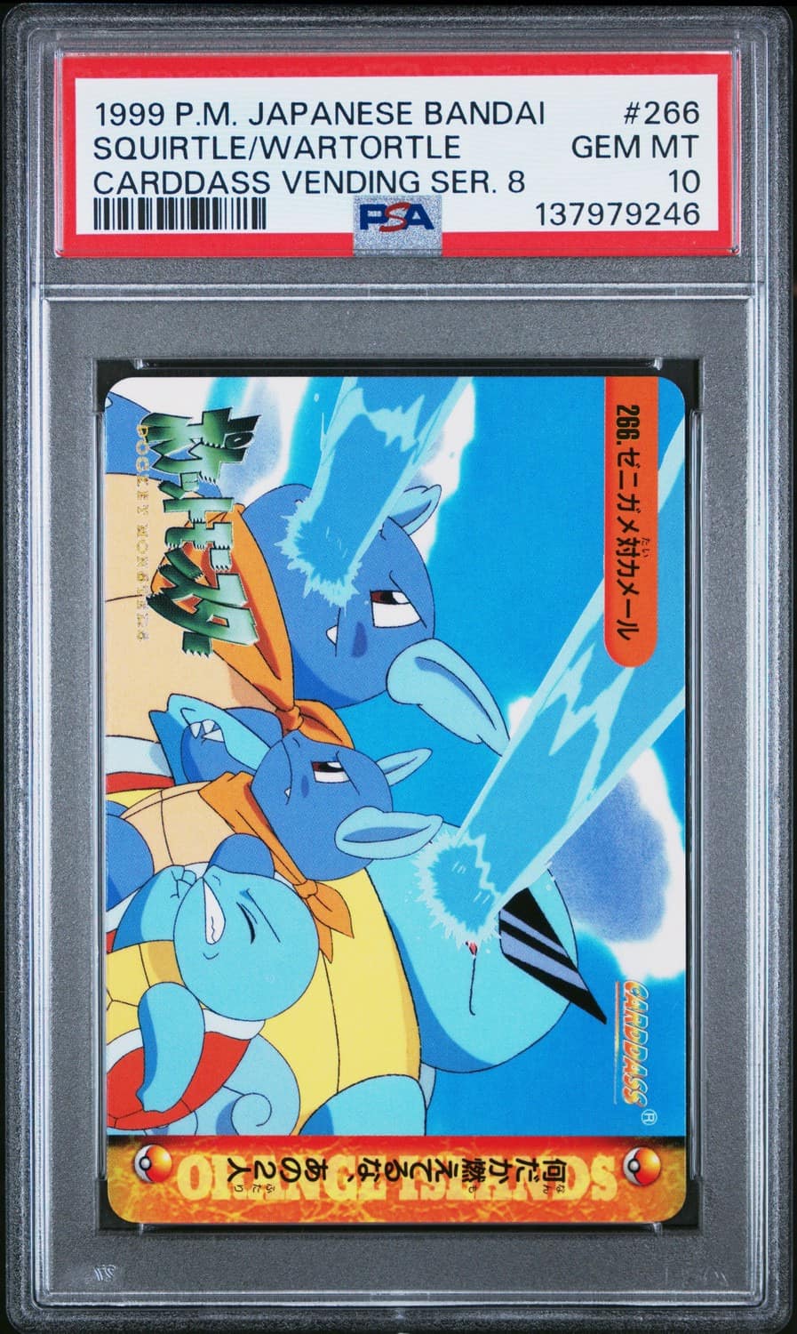 Squirtle & Wartortle