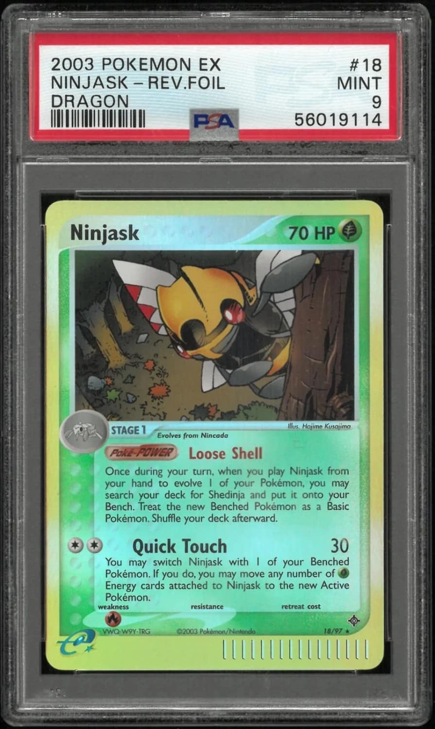 Ninjask