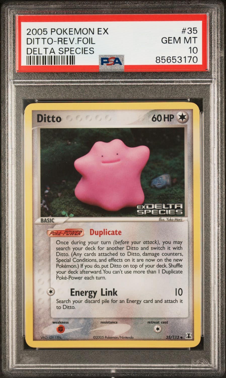 Ditto