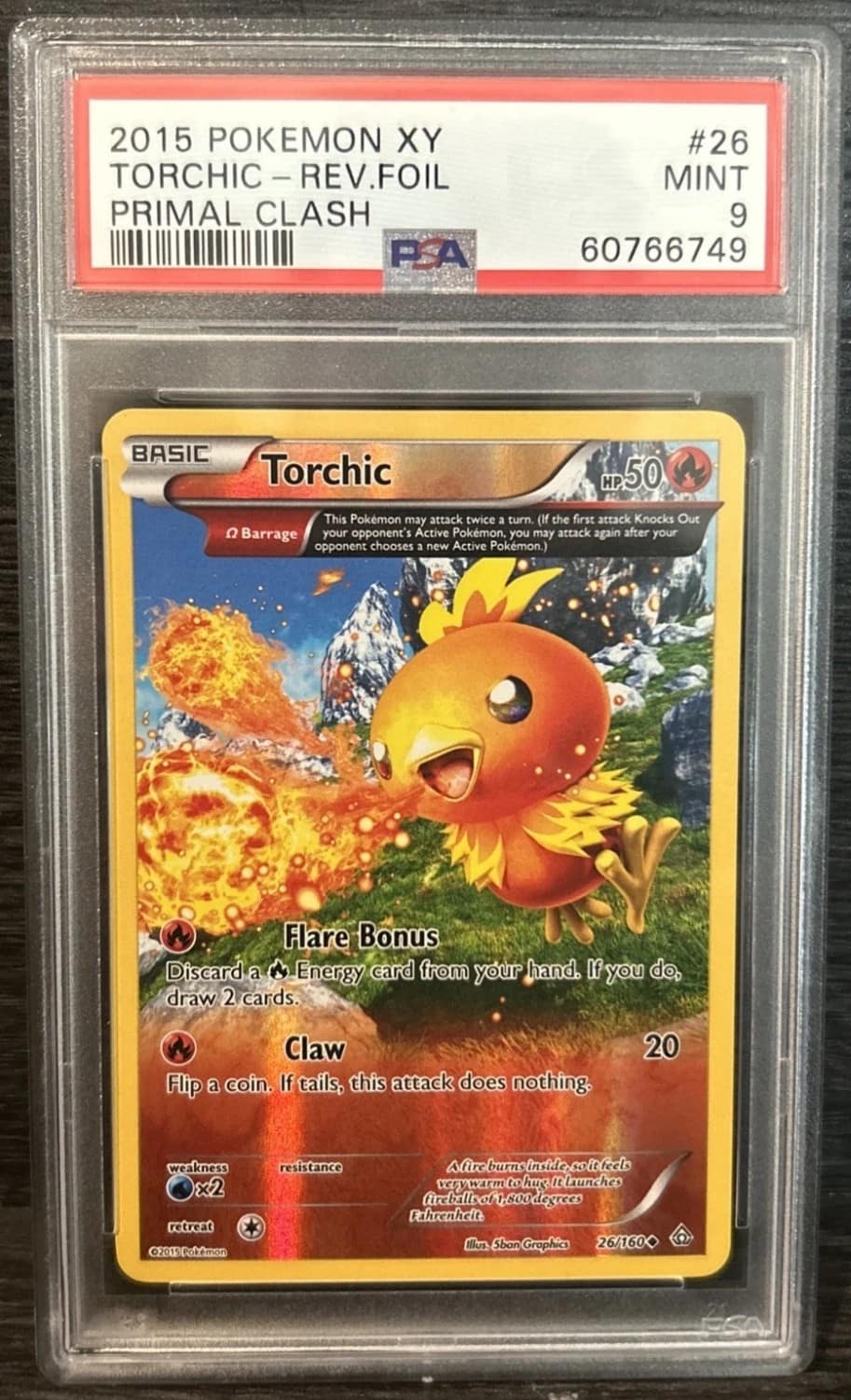 Torchic