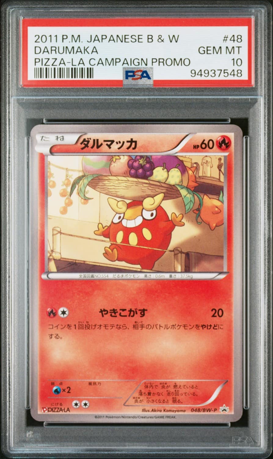 Darumaka