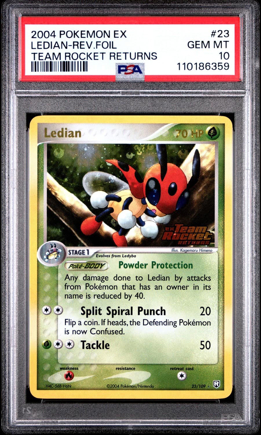 Ledian