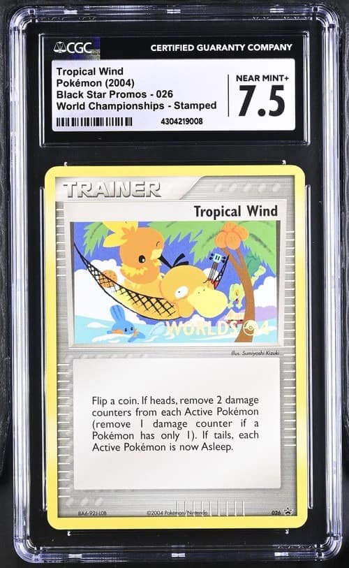 Tropical Wind