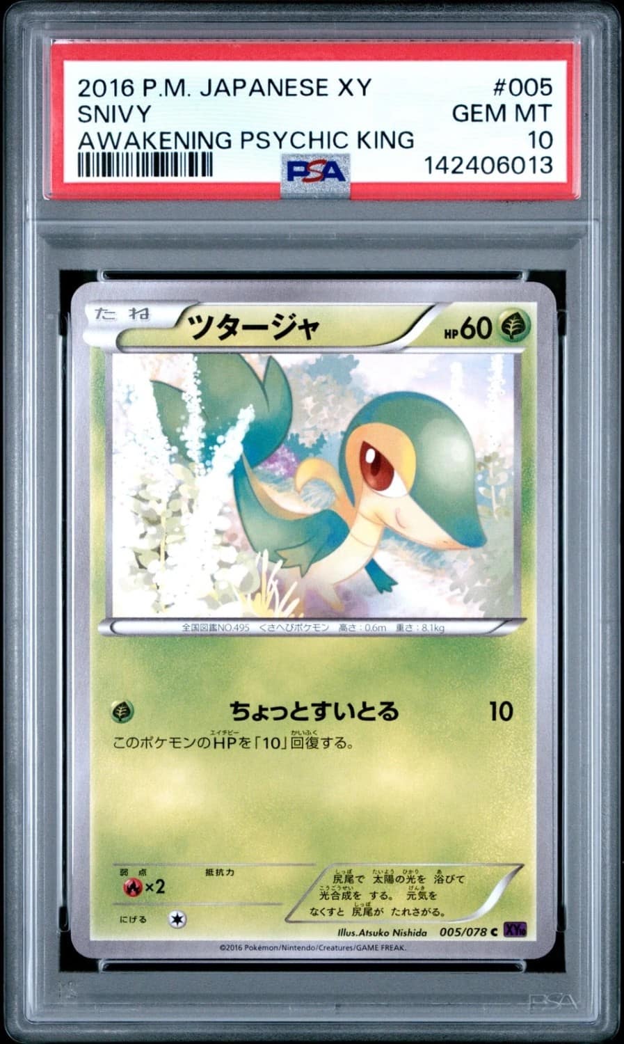 Snivy