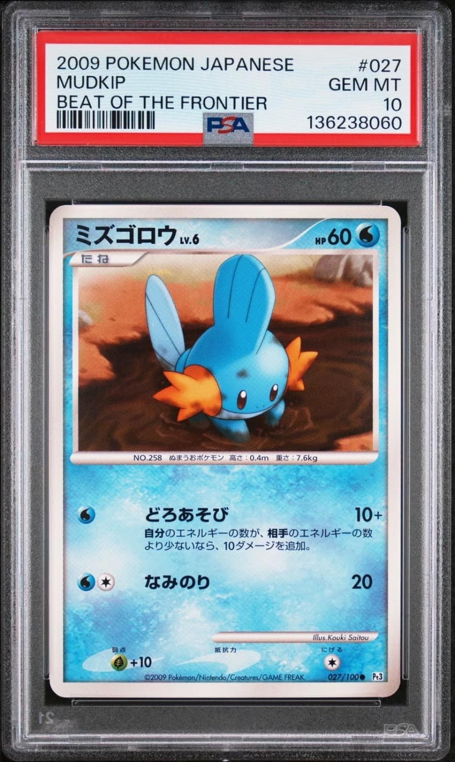 Mudkip