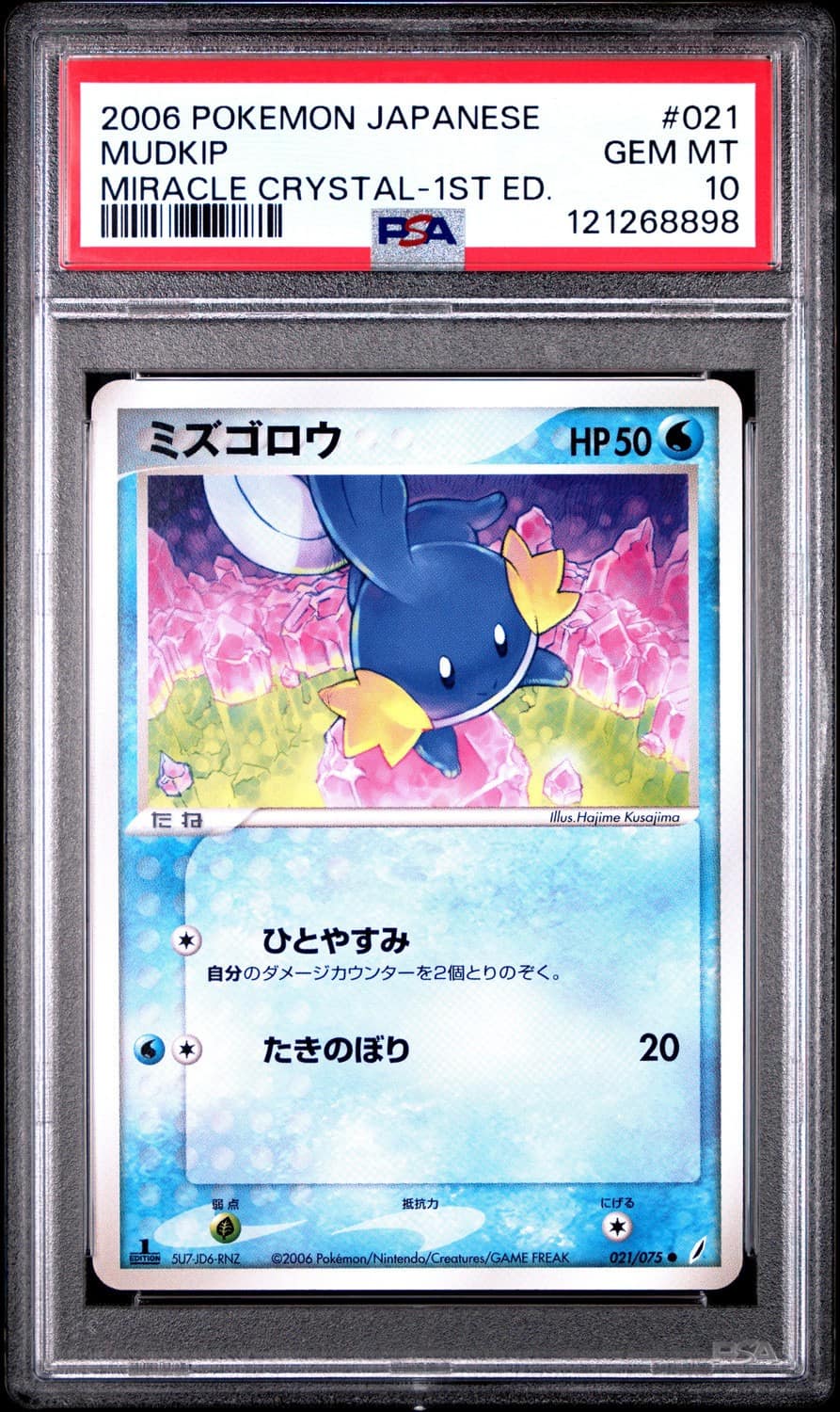 Mudkip
