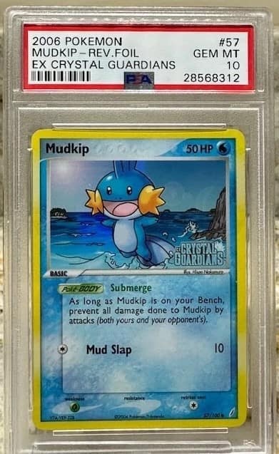 Mudkip