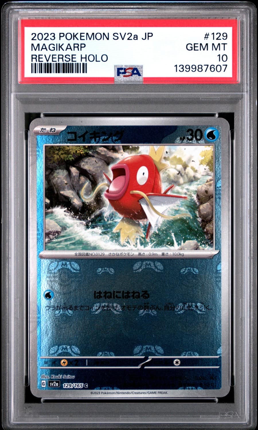 Magikarp