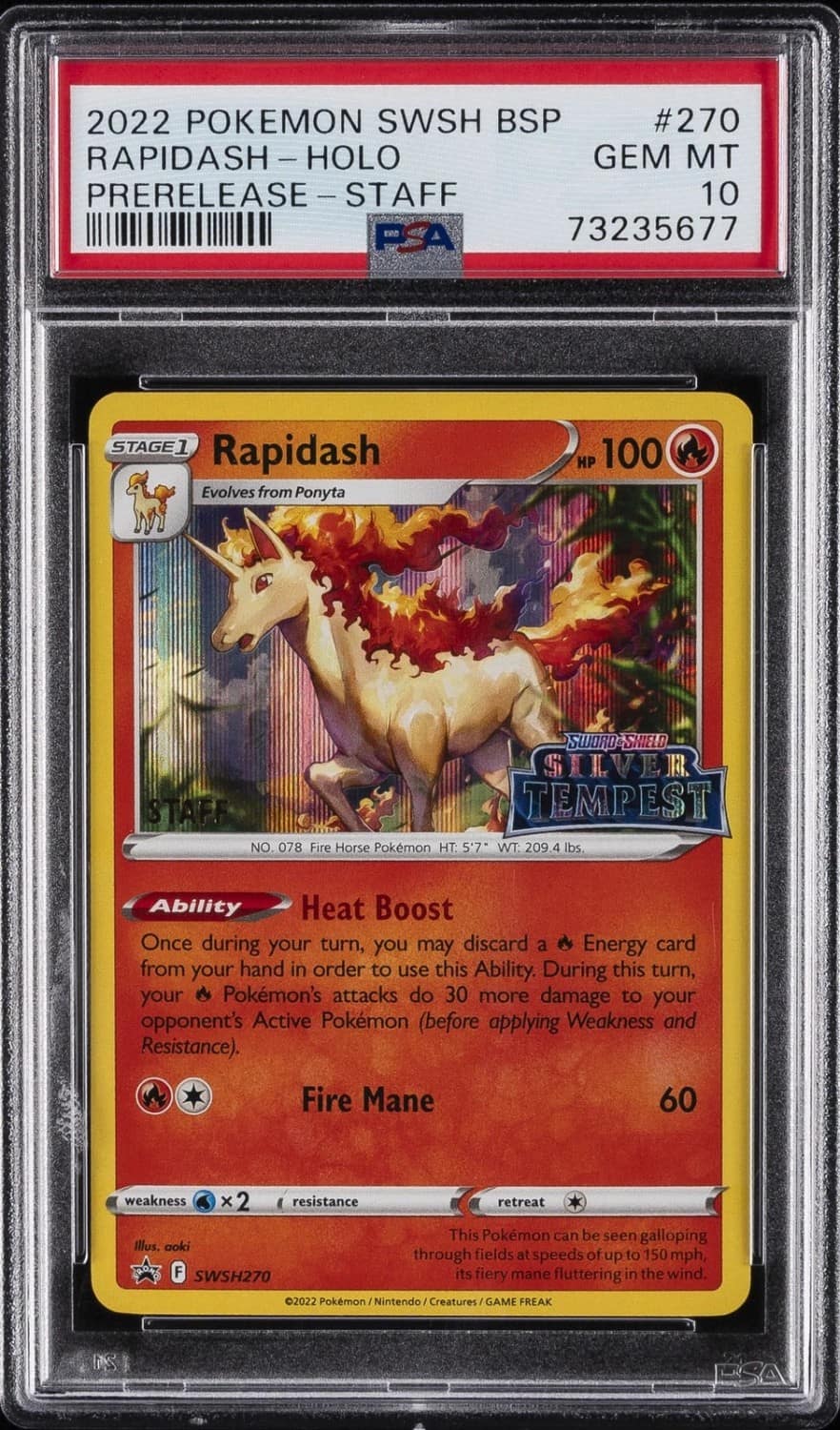 Rapidash
