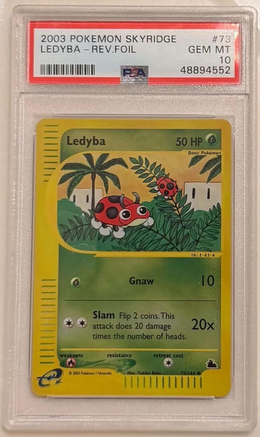 Ledyba