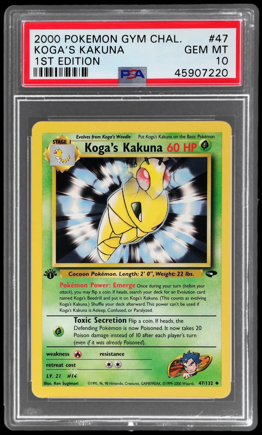 Koga'S Kakuna