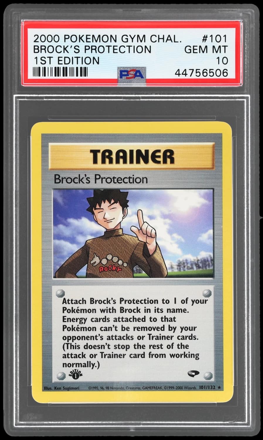 Brock'S Protection