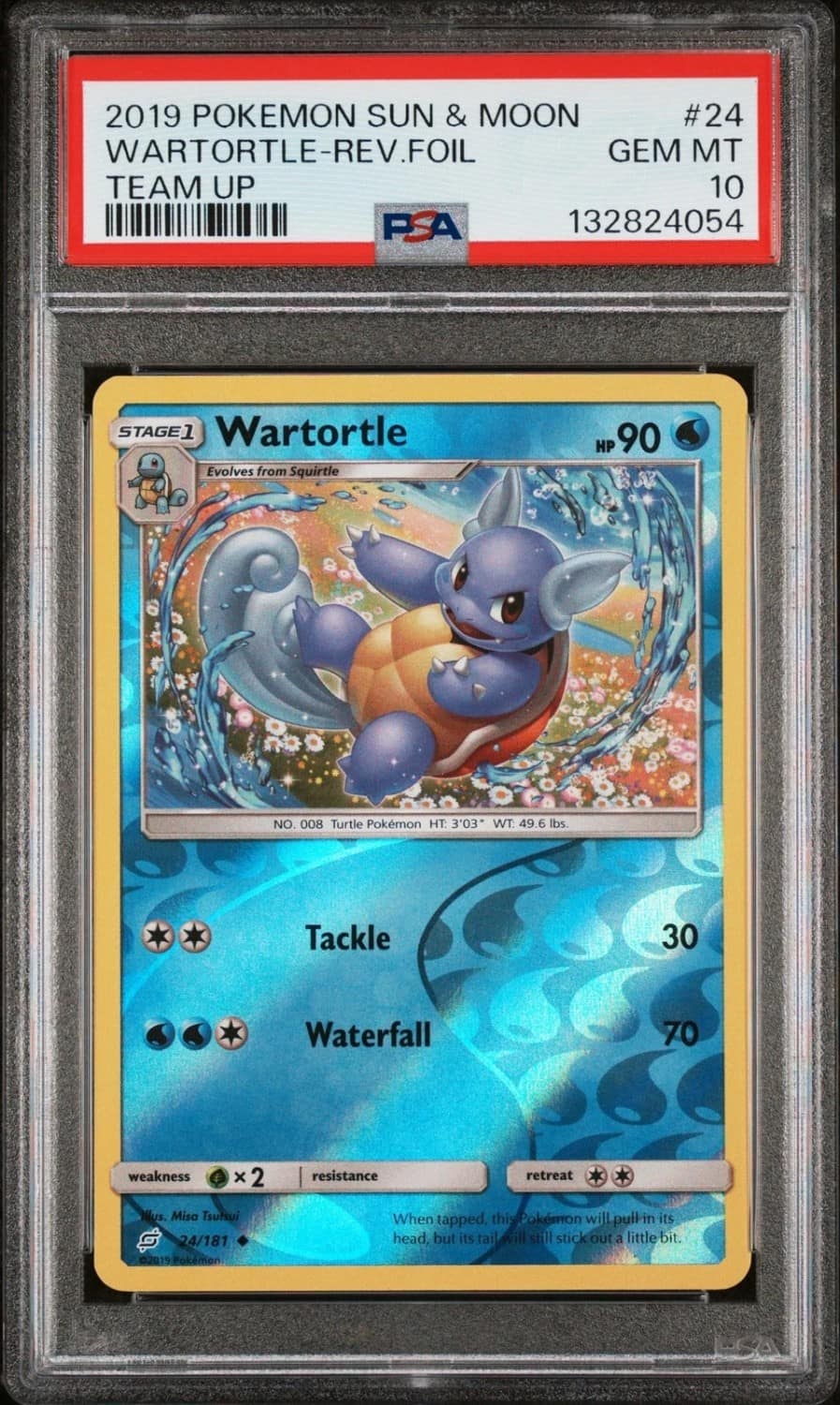Wartortle