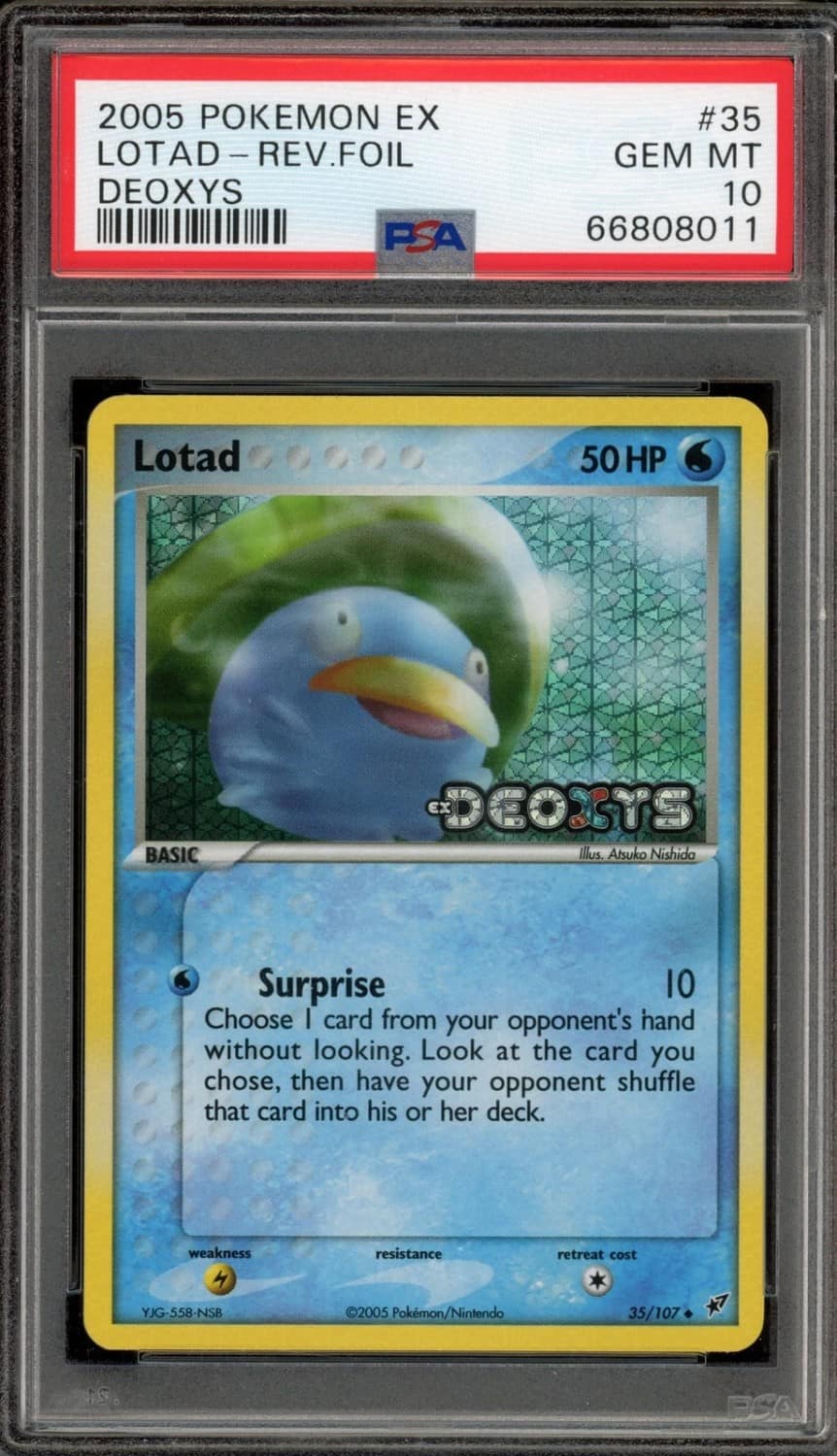 Lotad