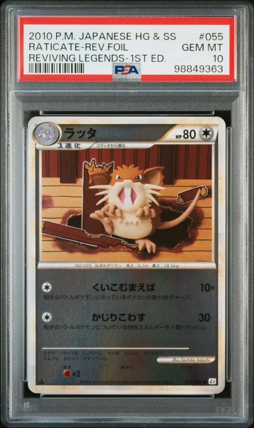 Raticate