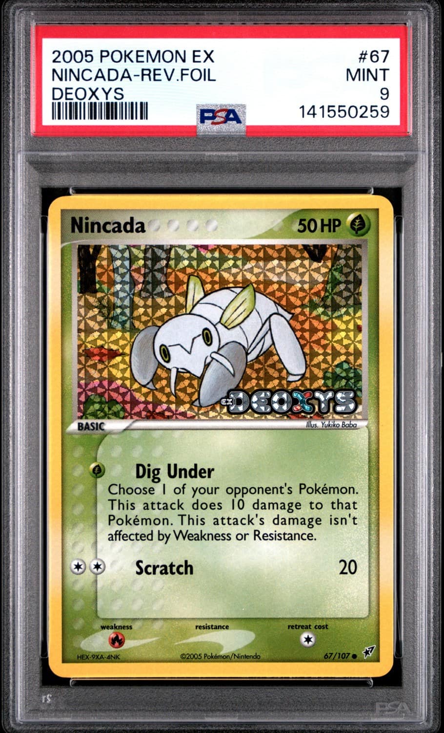 Nincada