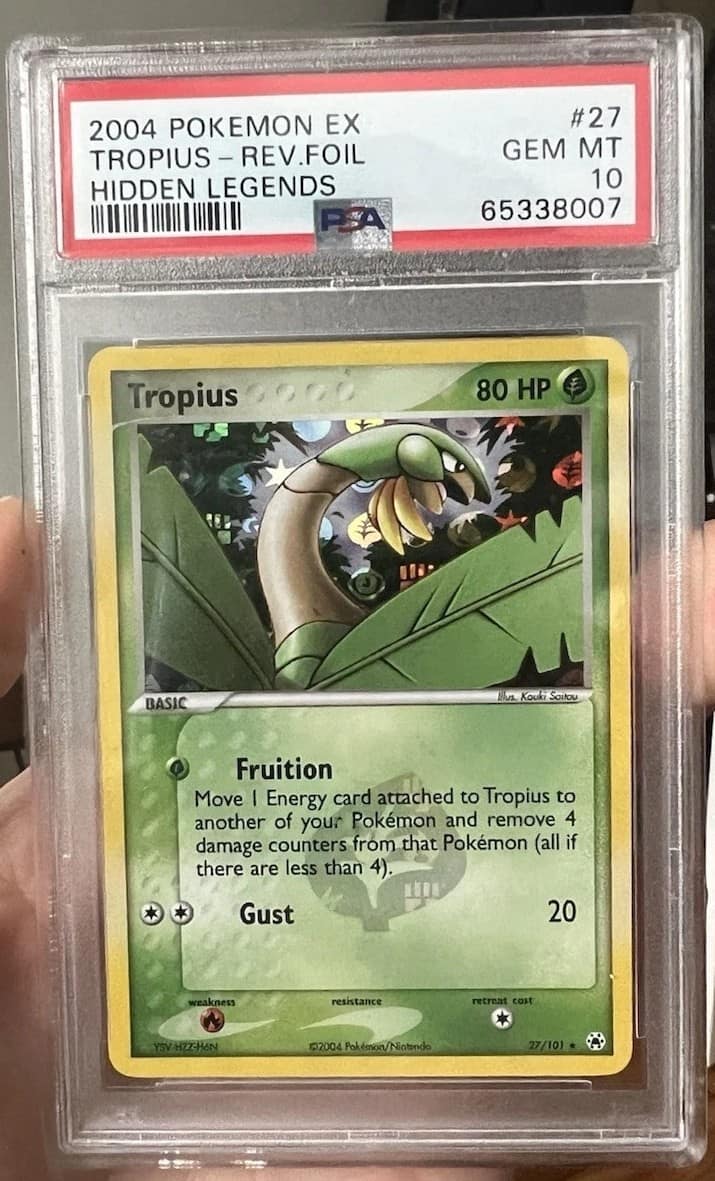 Tropius