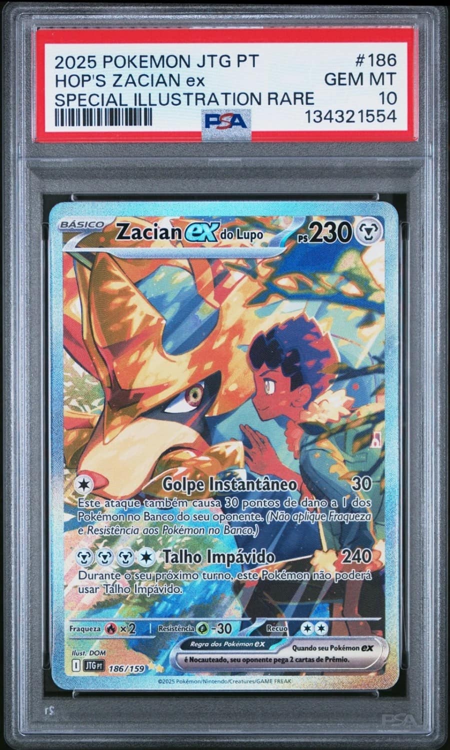 Hop'S Zacian Ex