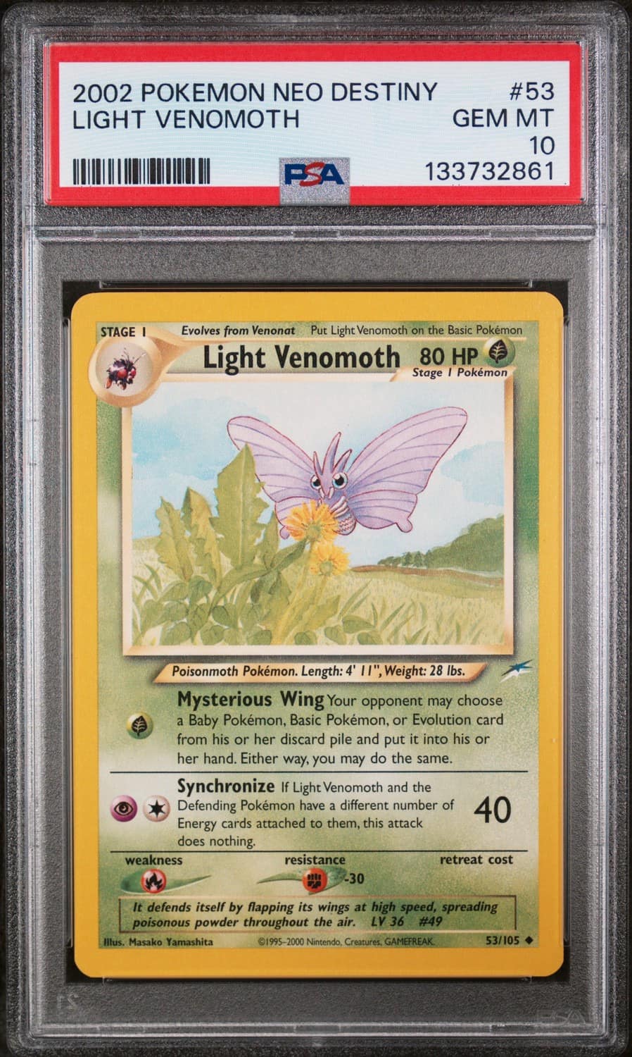 Light Venomoth