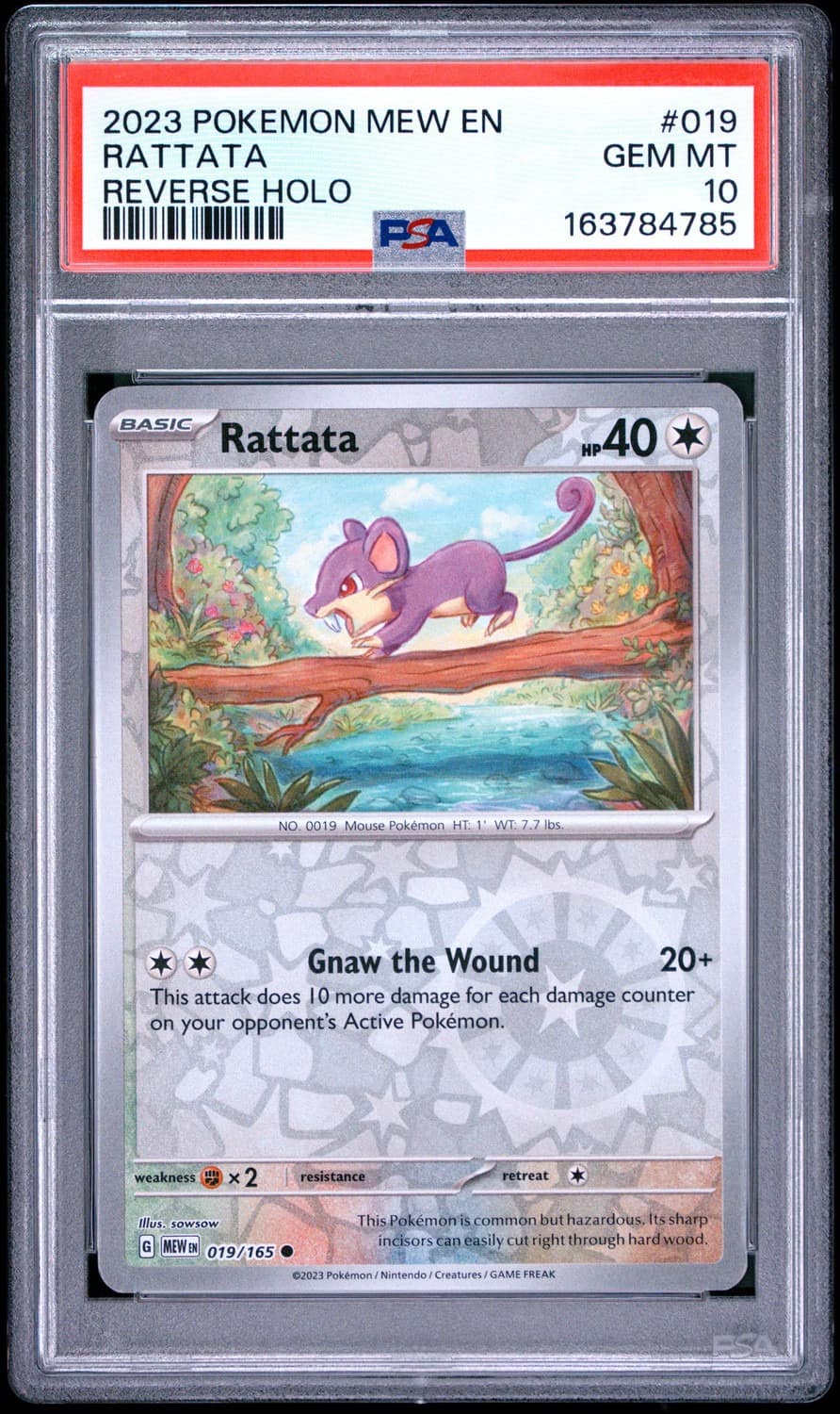 Rattata