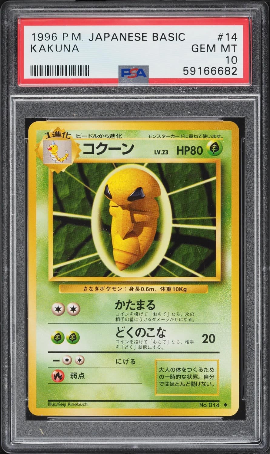 Kakuna