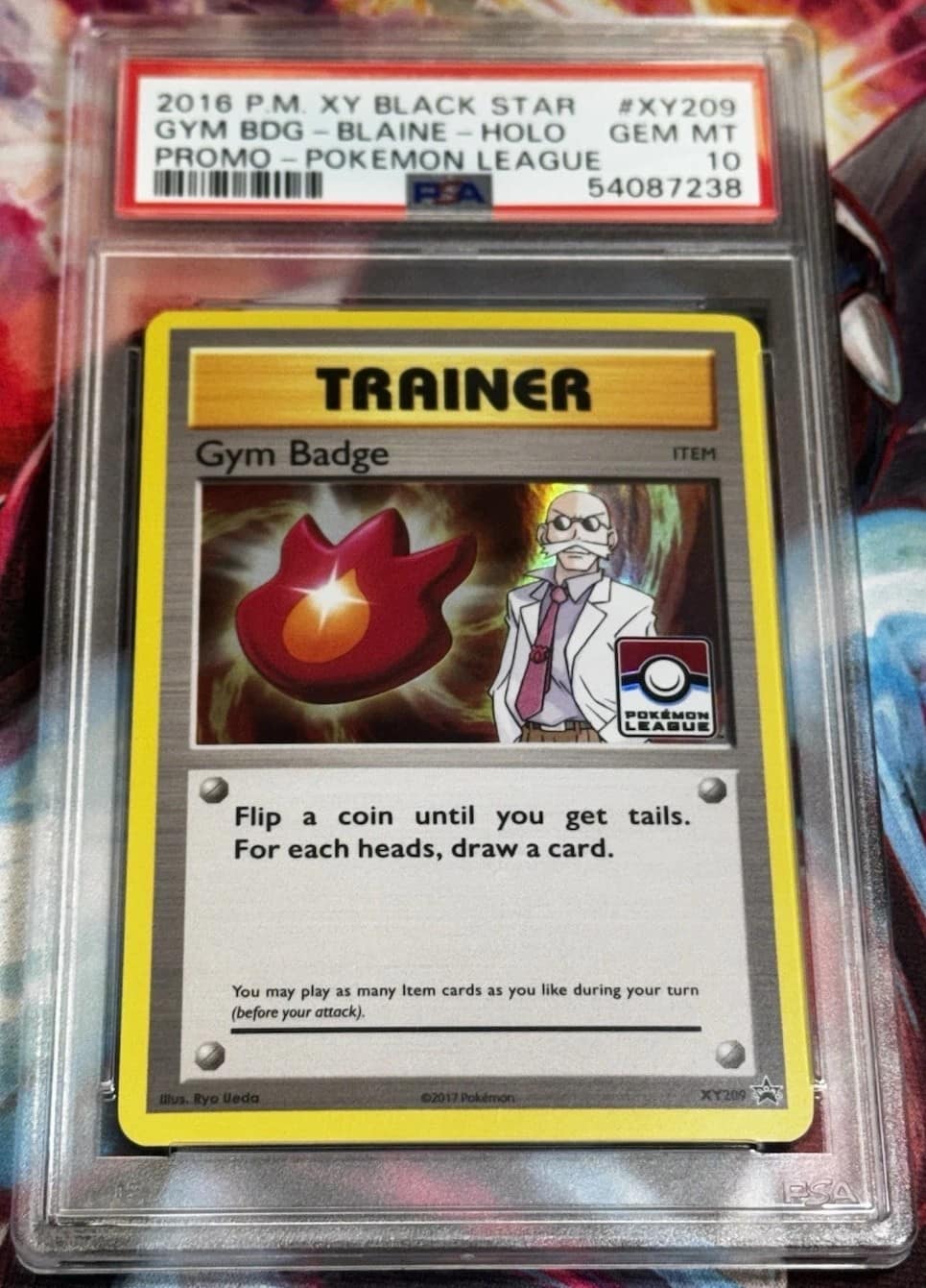 Gym Bdg-Blaine