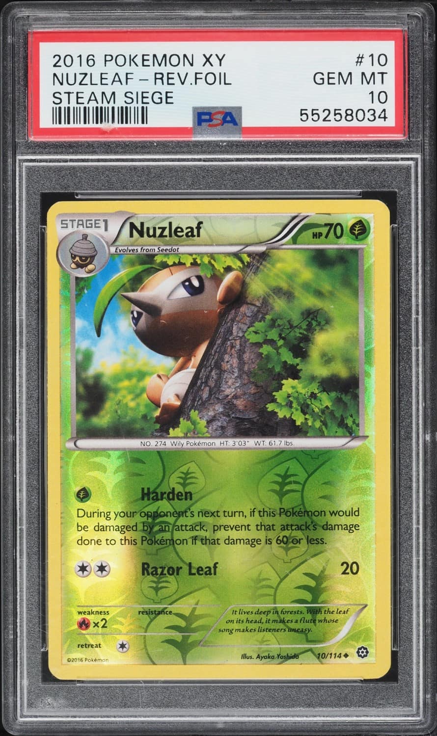 Nuzleaf