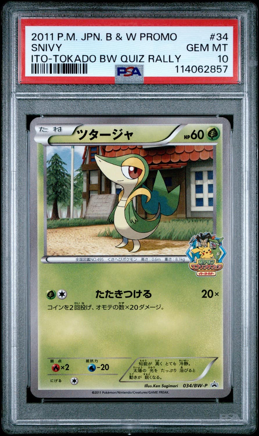Snivy