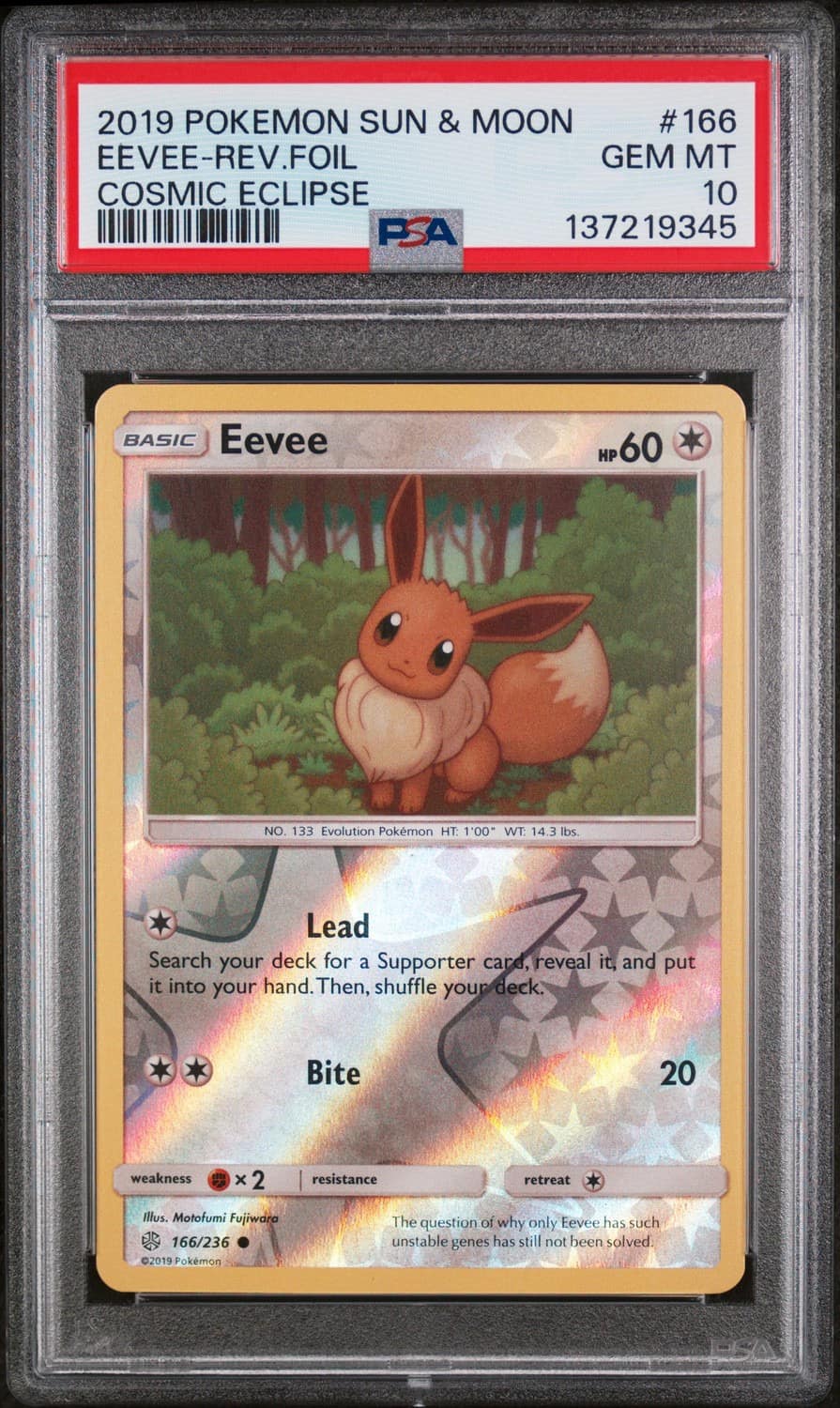 Eevee