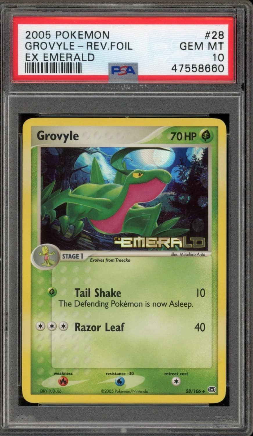 Grovyle