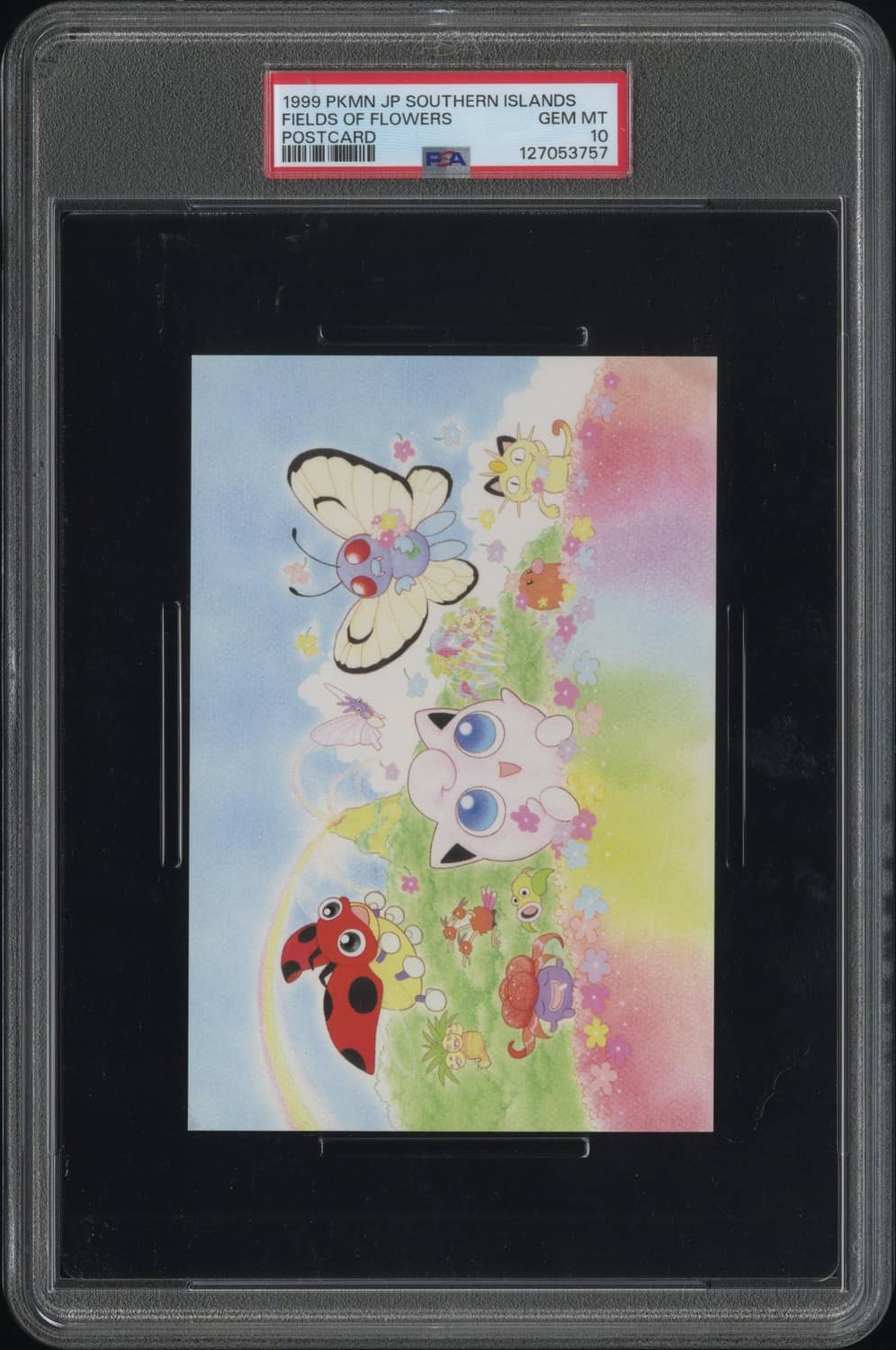 Fields Of Flowers