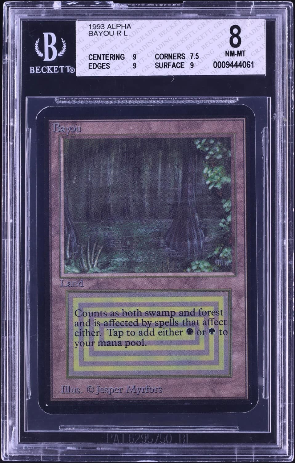 Bayou