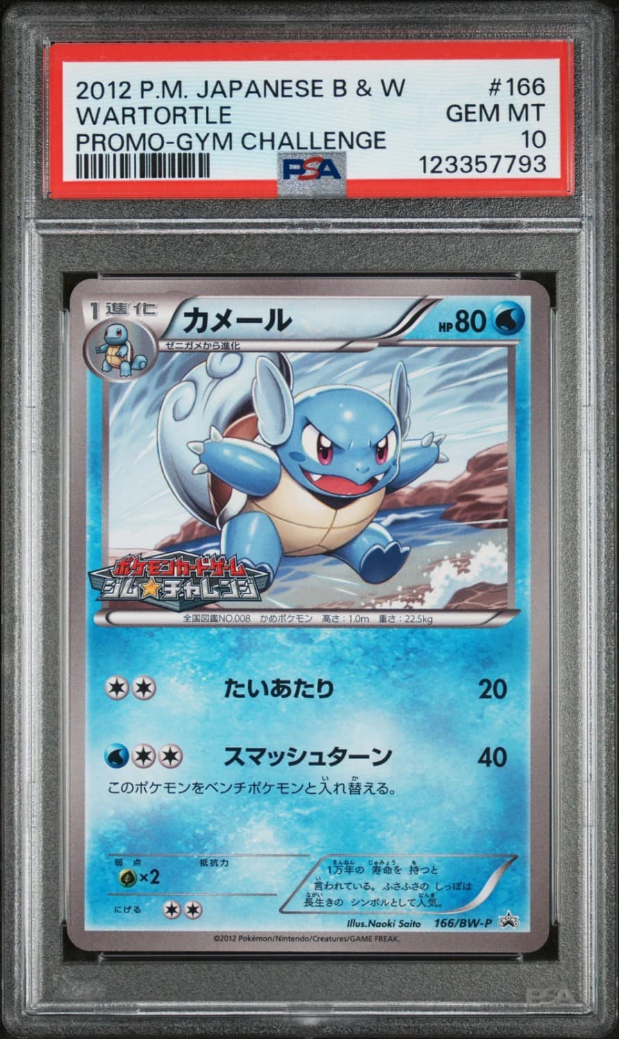 Wartortle