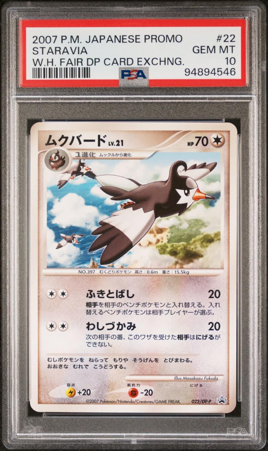 Staravia