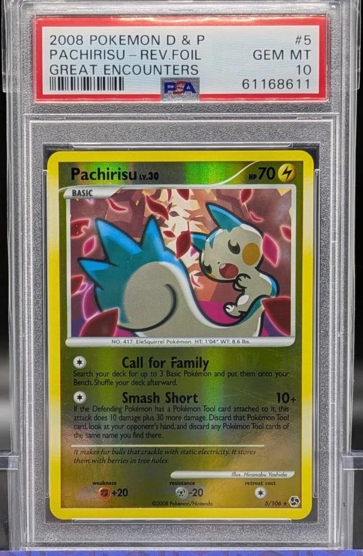 Pachirisu