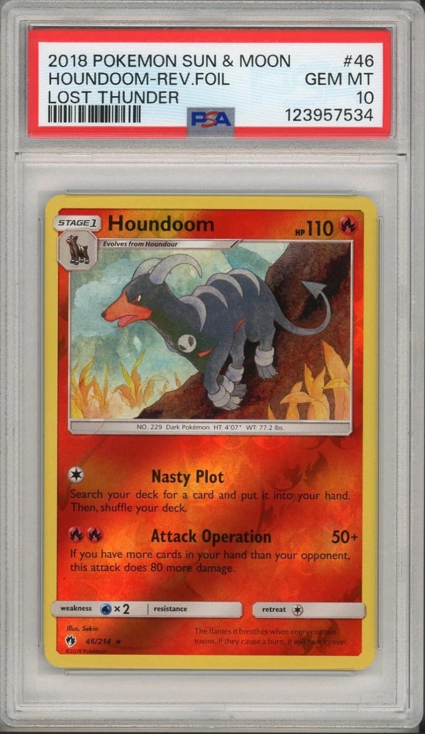 Houndoom