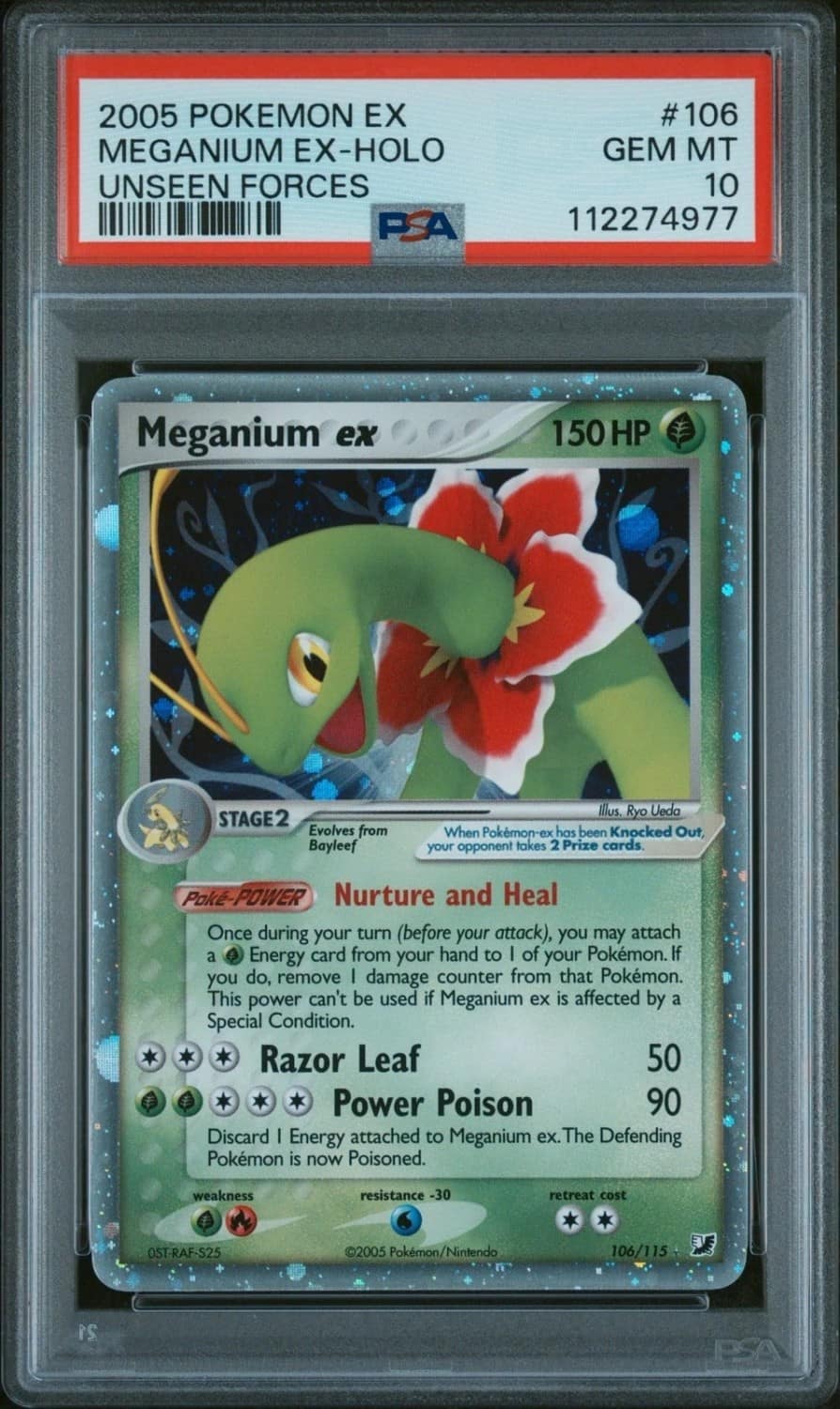 Meganium Ex
