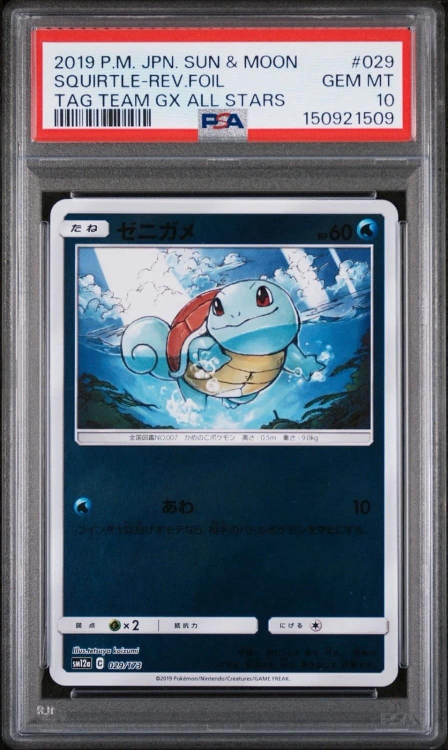 Squirtle