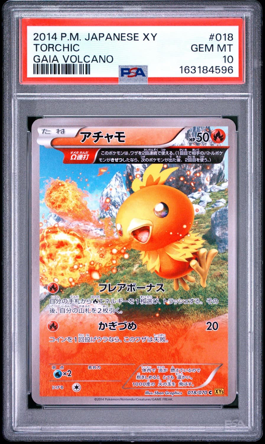 Torchic
