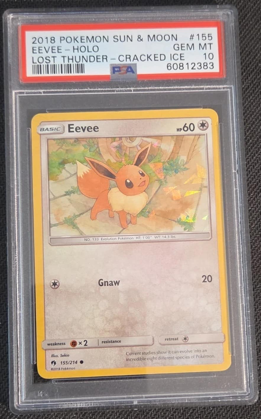 Eevee