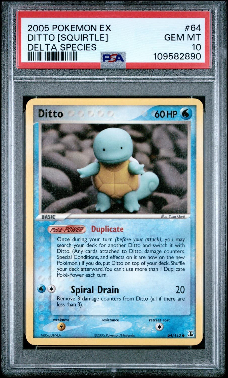 Ditto [squirtle]