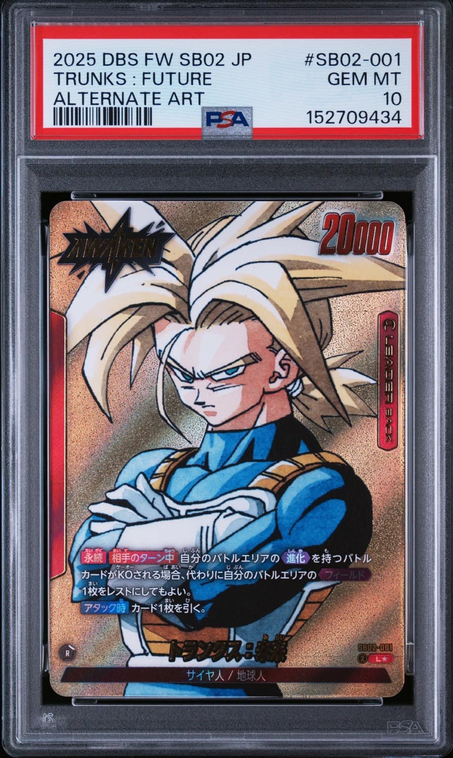Trunks: Future