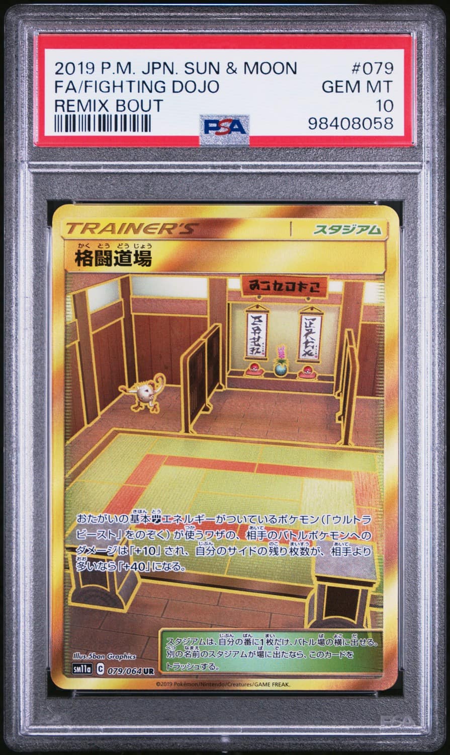 Fighting Dojo