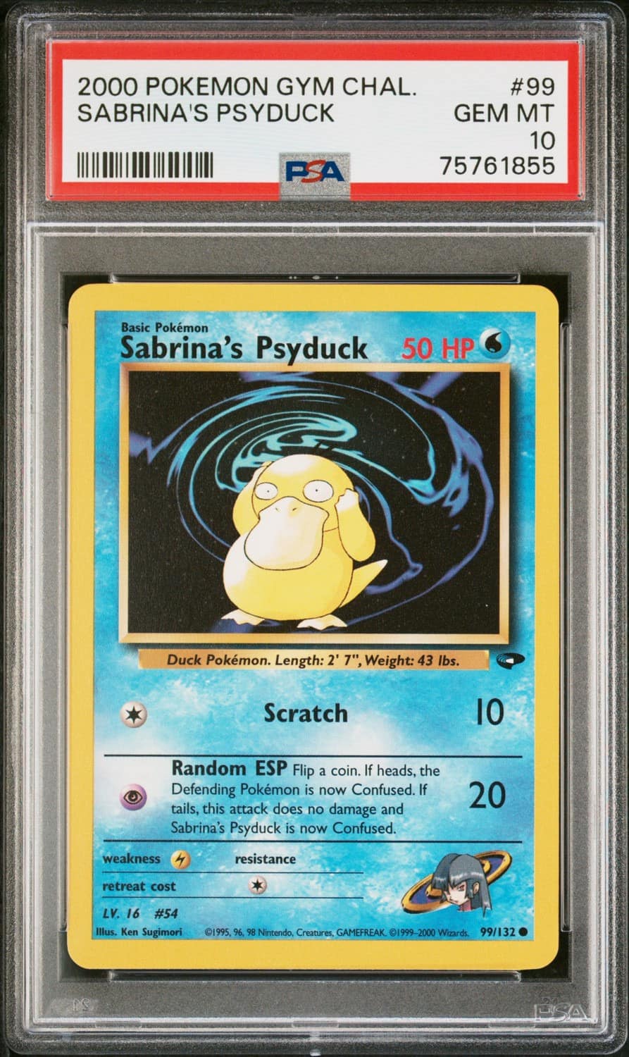 Sabrina'S Psyduck
