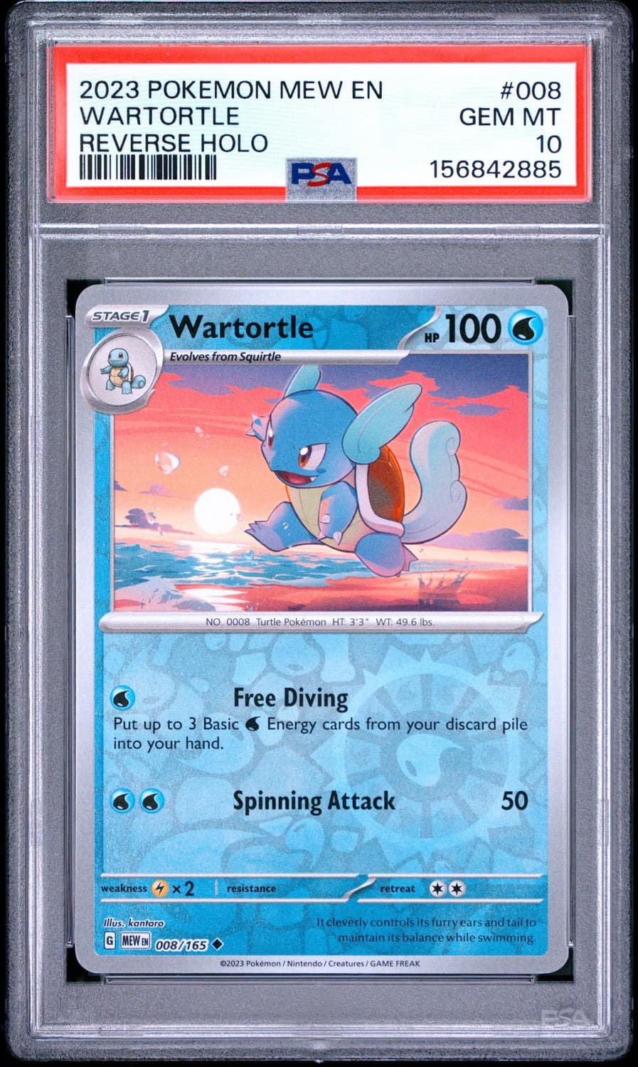 Wartortle