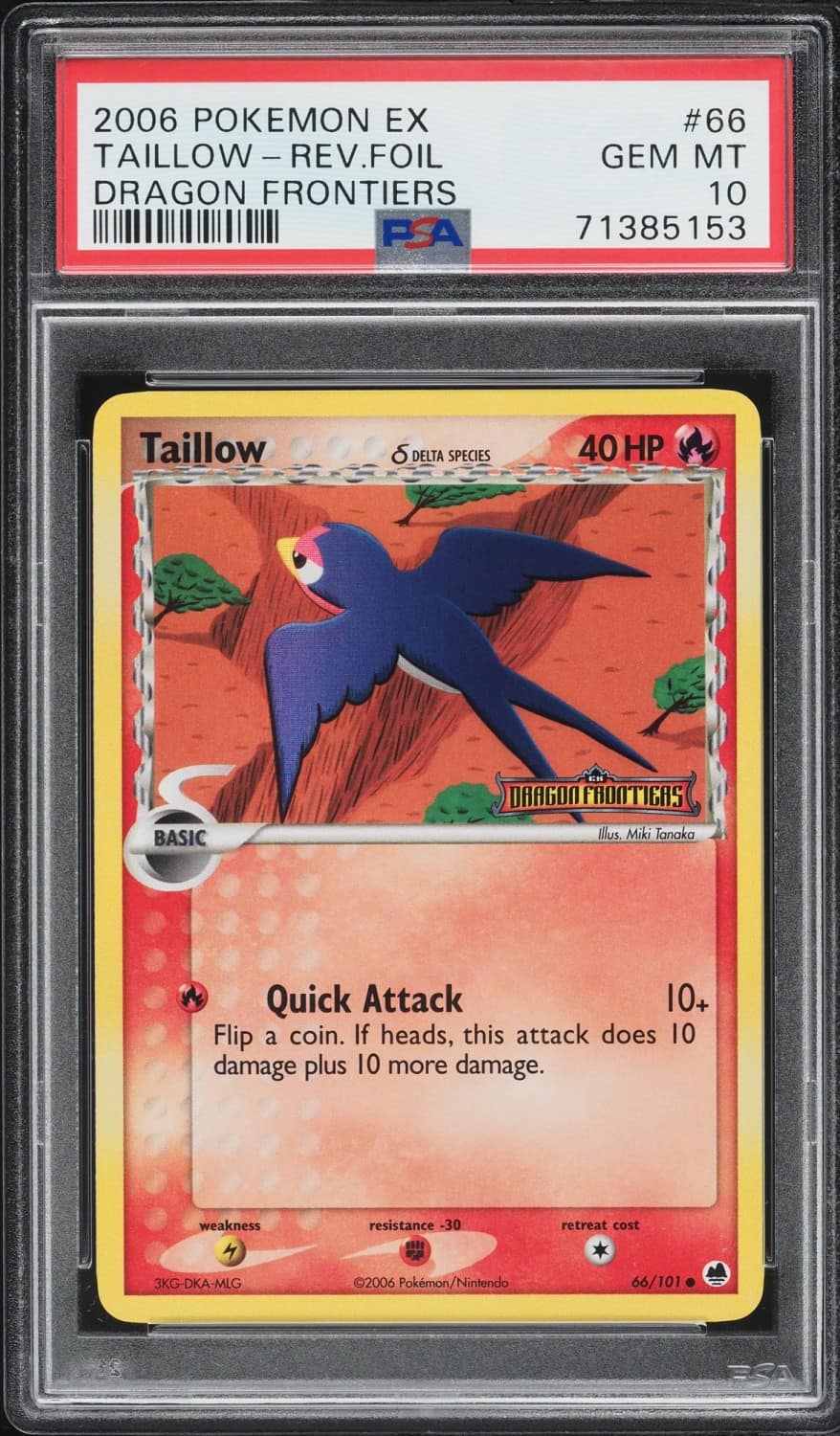 Tailow δ
