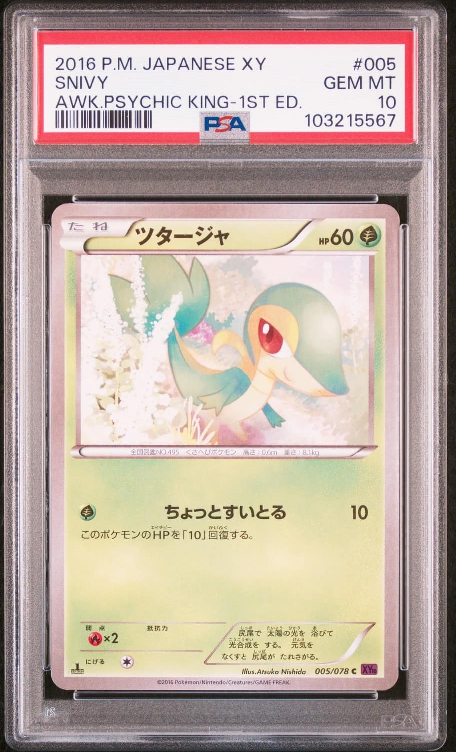 Snivy