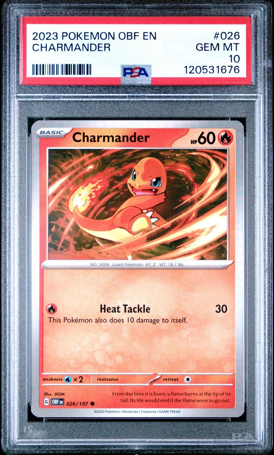 Charmander