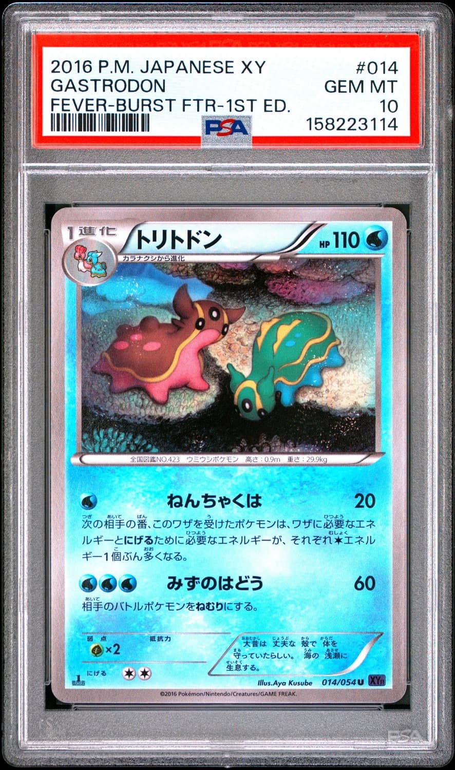 Gastrodon
